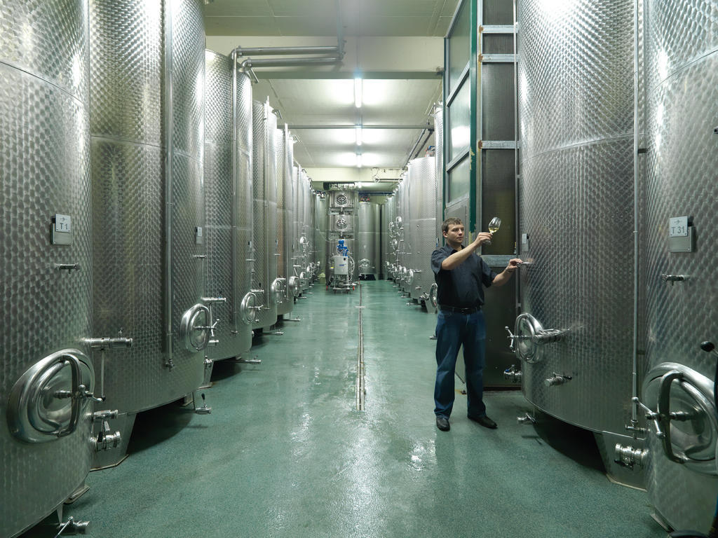 Weingut Skoff Original Ξενοδοχείο Gamlitz Εξωτερικό φωτογραφία