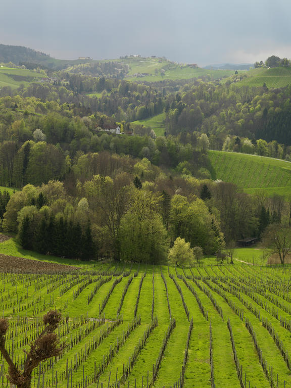 Weingut Skoff Original Ξενοδοχείο Gamlitz Εξωτερικό φωτογραφία